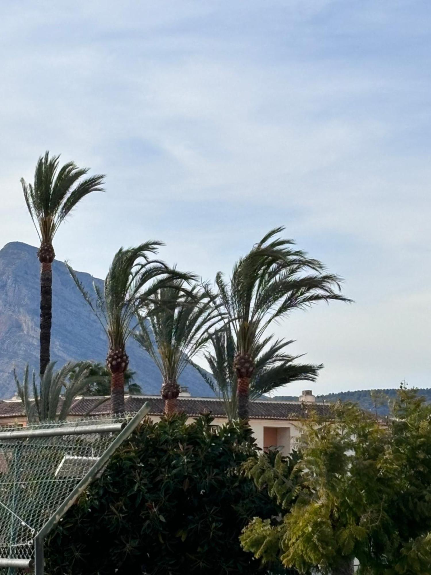 Apartamento Tenis Club En Javea Platja de Larenal Eksteriør billede